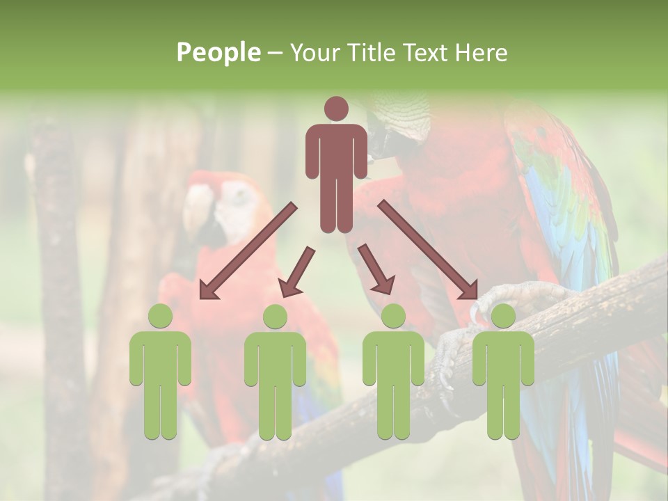 Guyana Peru Tropical PowerPoint Template