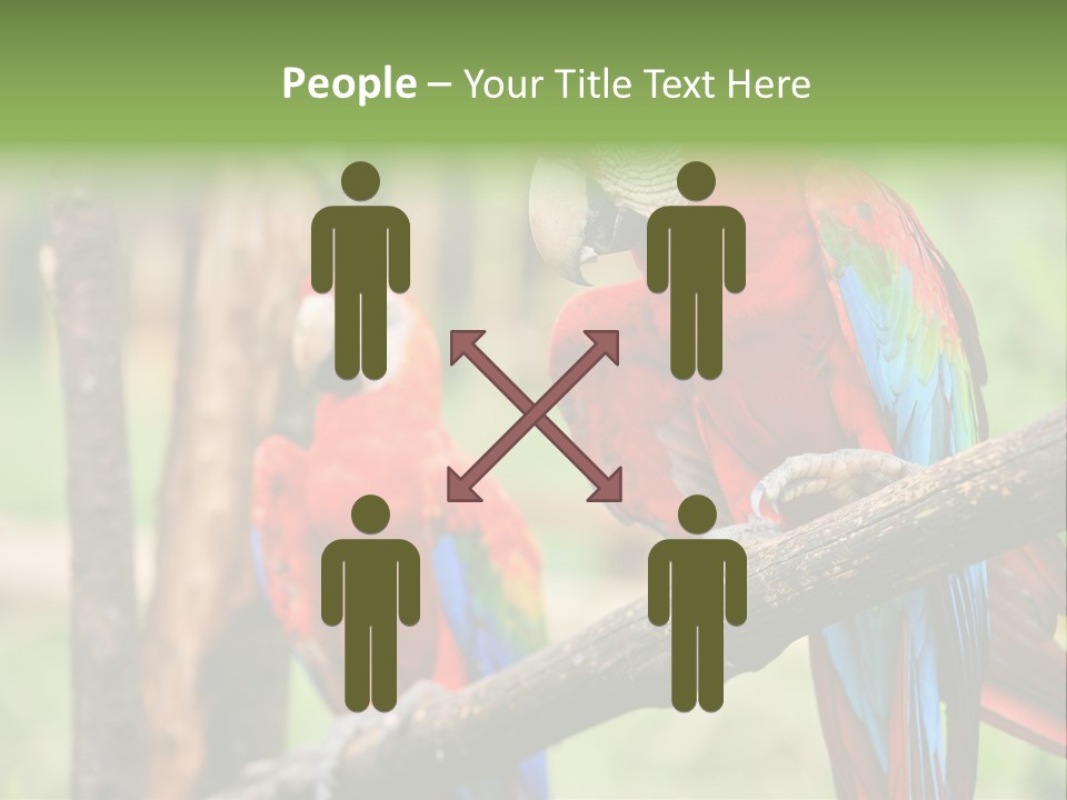 Guyana Peru Tropical PowerPoint Template