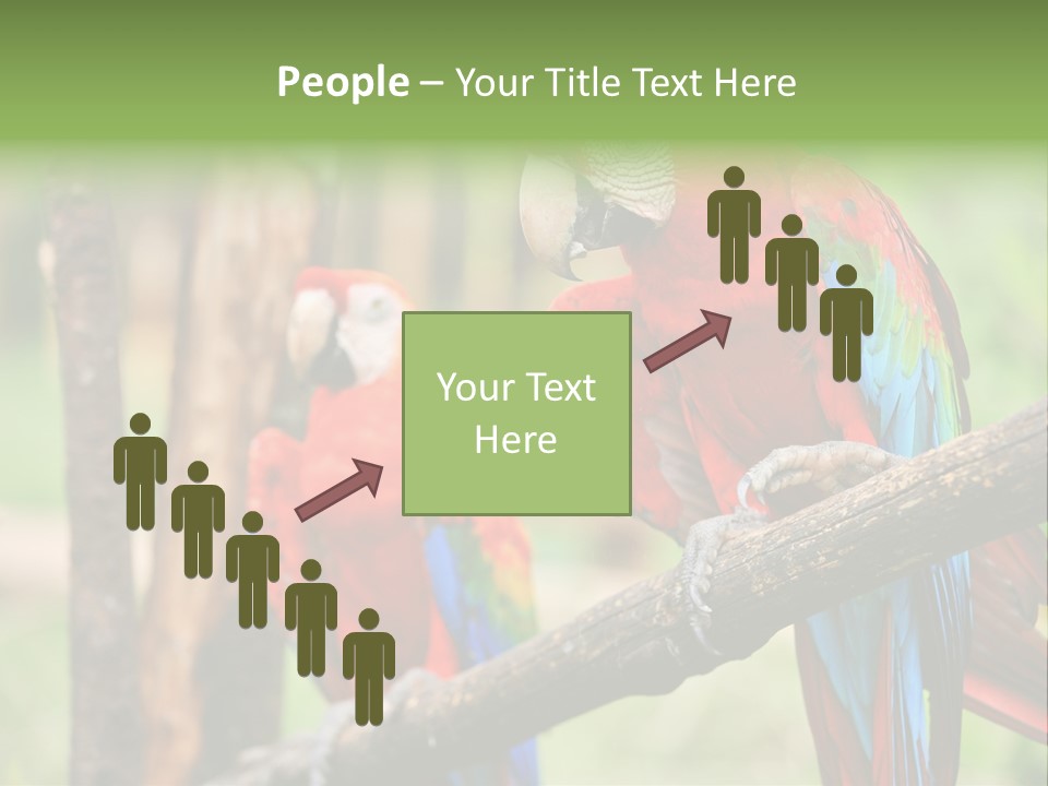 Guyana Peru Tropical PowerPoint Template