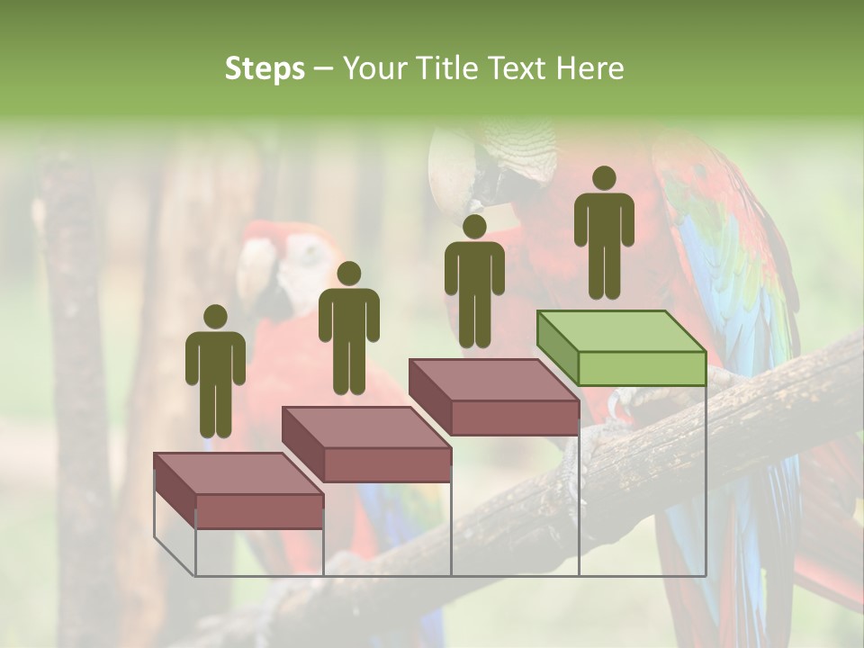 Guyana Peru Tropical PowerPoint Template