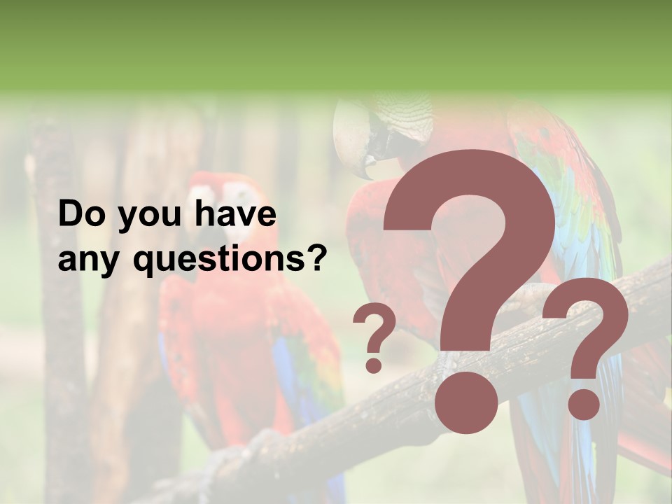 Guyana Peru Tropical PowerPoint Template