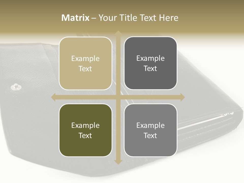 Purse Rivet Luster PowerPoint Template