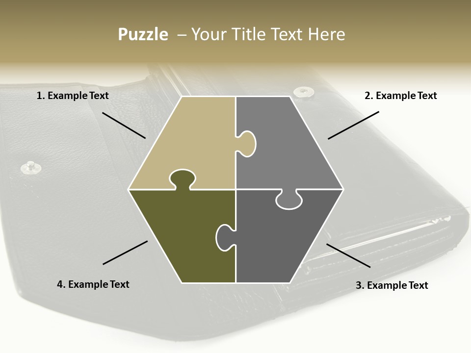 Purse Rivet Luster PowerPoint Template