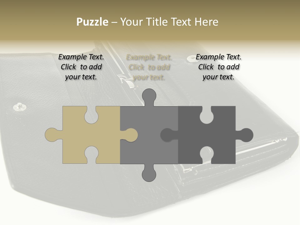 Purse Rivet Luster PowerPoint Template