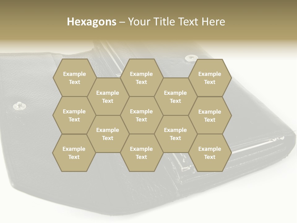 Purse Rivet Luster PowerPoint Template