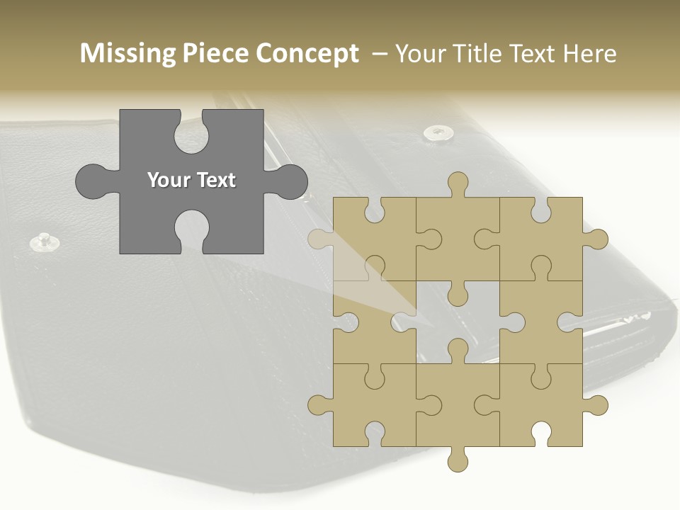 Purse Rivet Luster PowerPoint Template