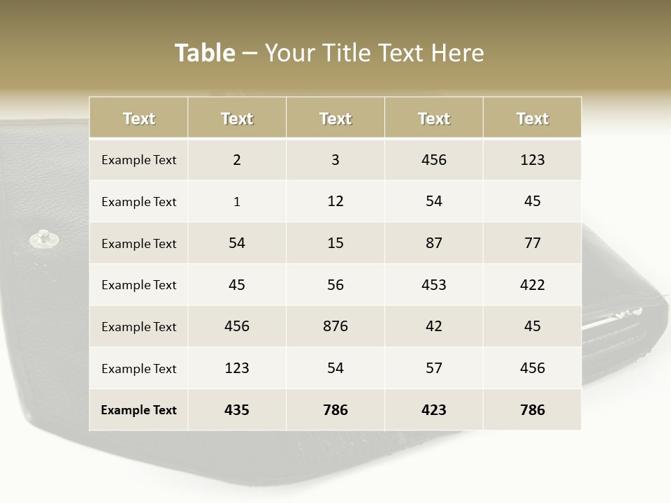 Purse Rivet Luster PowerPoint Template