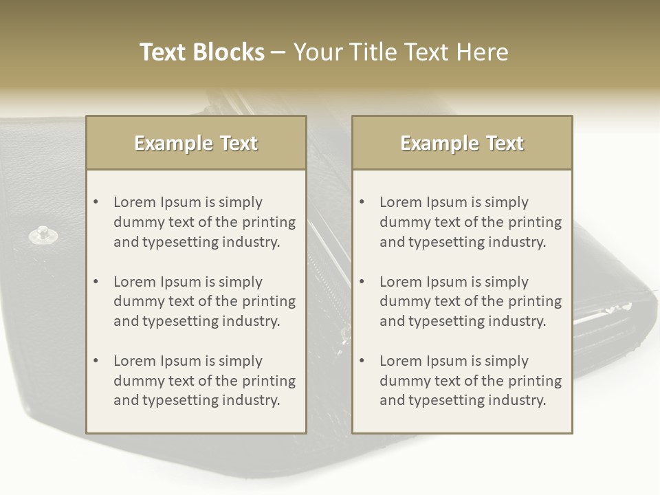 Purse Rivet Luster PowerPoint Template