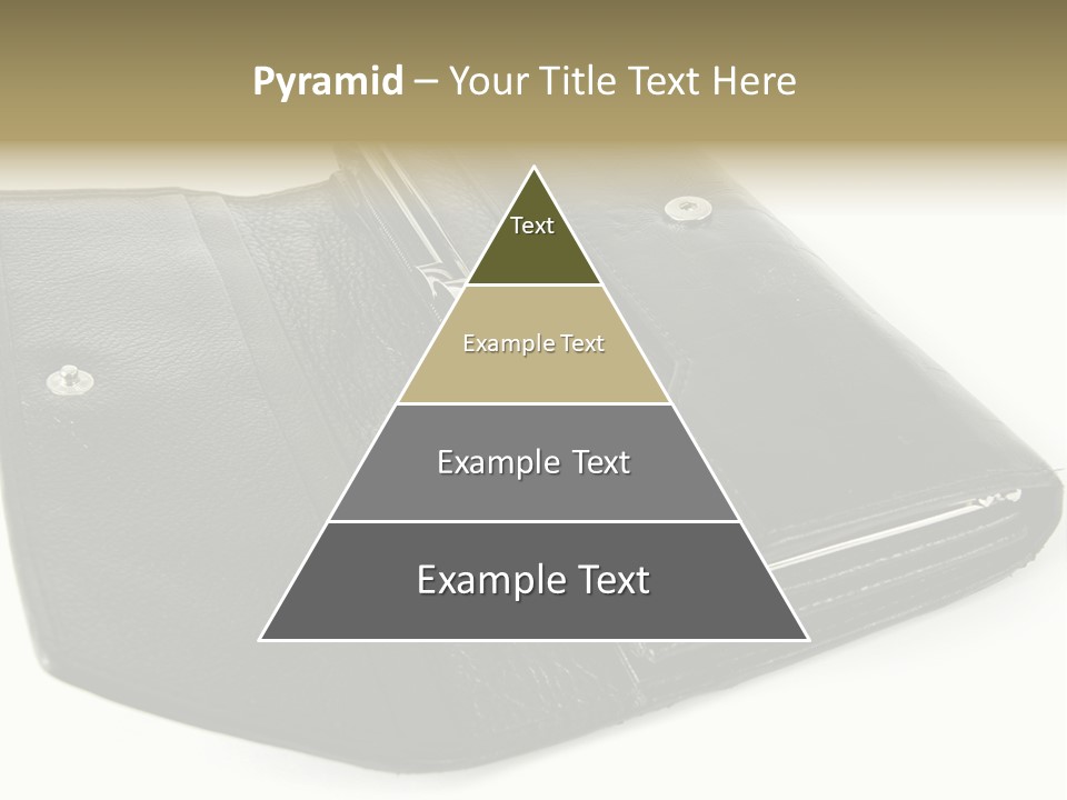 Purse Rivet Luster PowerPoint Template