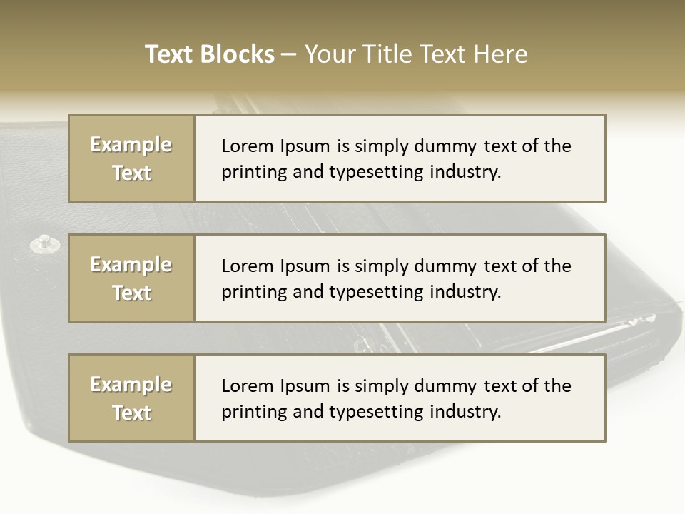 Purse Rivet Luster PowerPoint Template