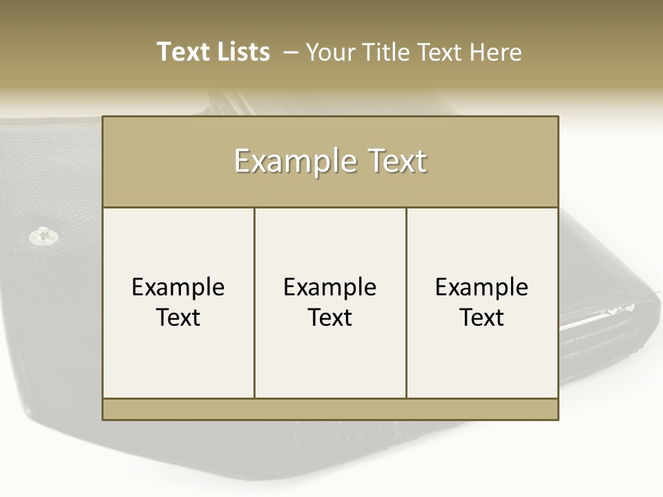 Purse Rivet Luster PowerPoint Template