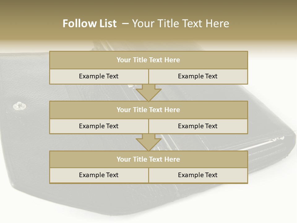 Purse Rivet Luster PowerPoint Template