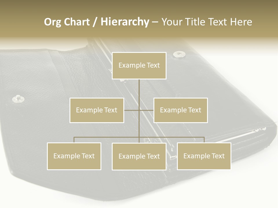 Purse Rivet Luster PowerPoint Template