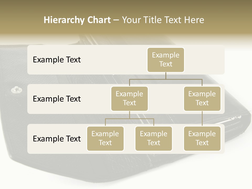 Purse Rivet Luster PowerPoint Template