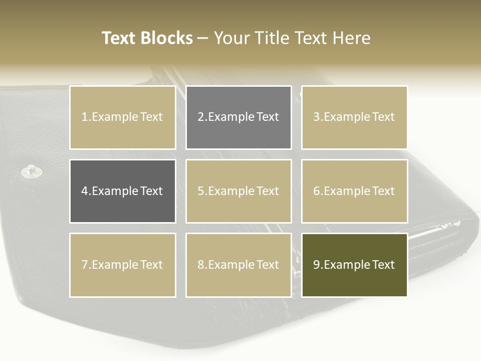 Purse Rivet Luster PowerPoint Template