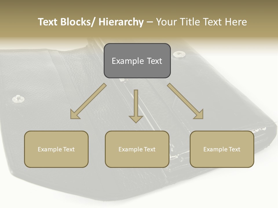 Purse Rivet Luster PowerPoint Template