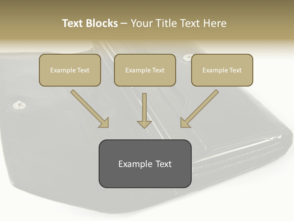 Purse Rivet Luster PowerPoint Template
