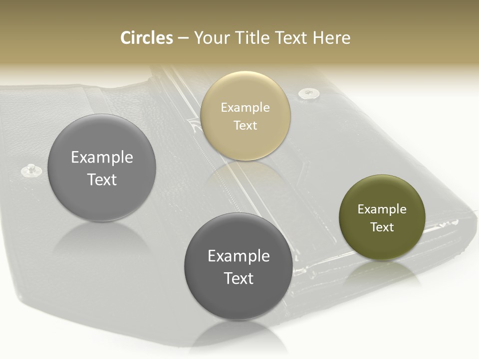 Purse Rivet Luster PowerPoint Template