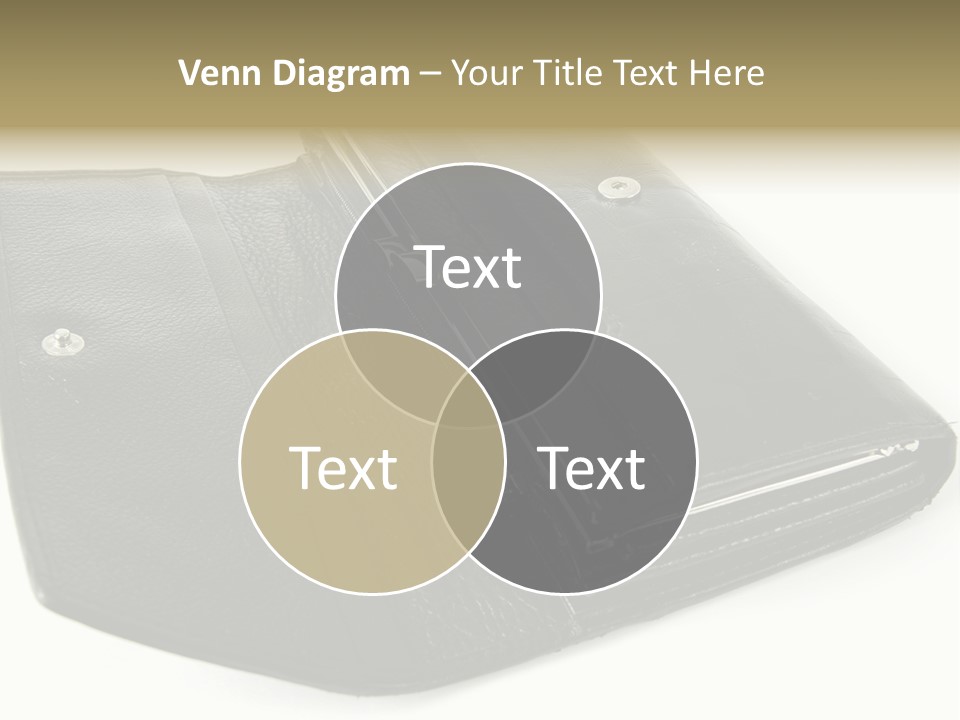 Purse Rivet Luster PowerPoint Template