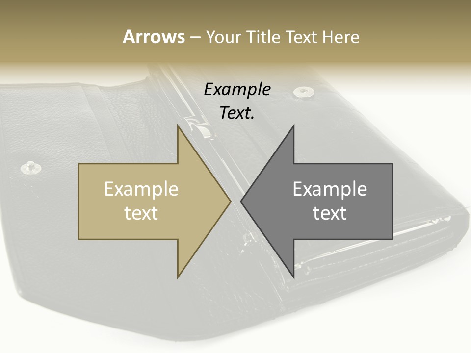 Purse Rivet Luster PowerPoint Template