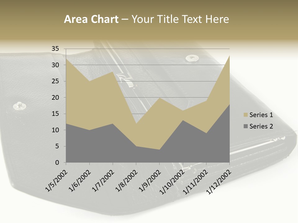 Purse Rivet Luster PowerPoint Template