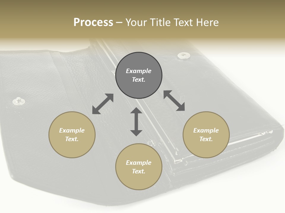 Purse Rivet Luster PowerPoint Template