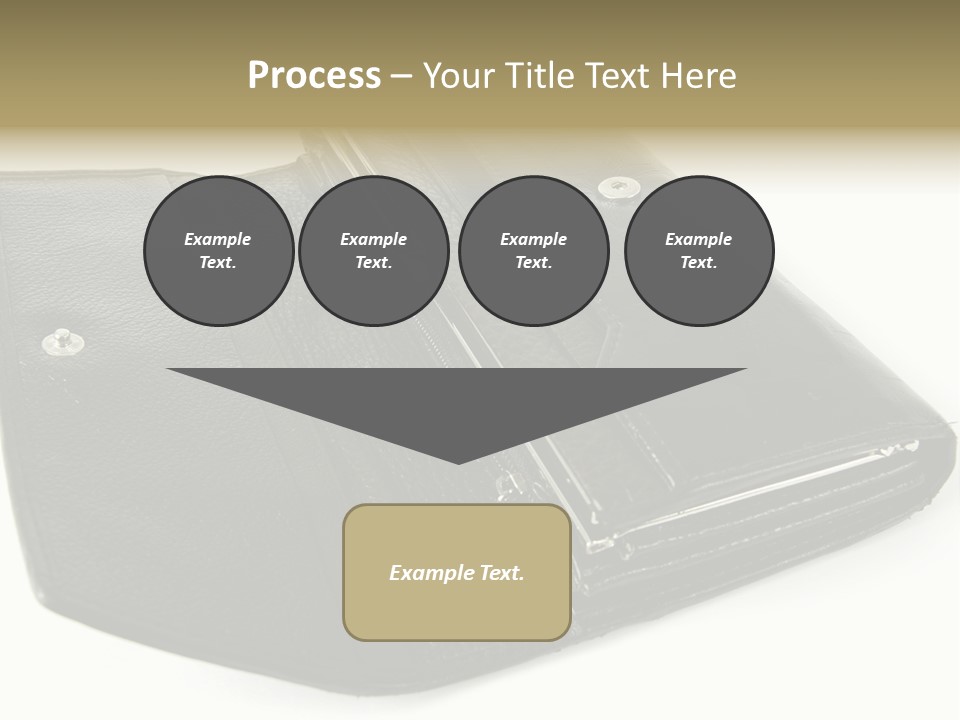 Purse Rivet Luster PowerPoint Template