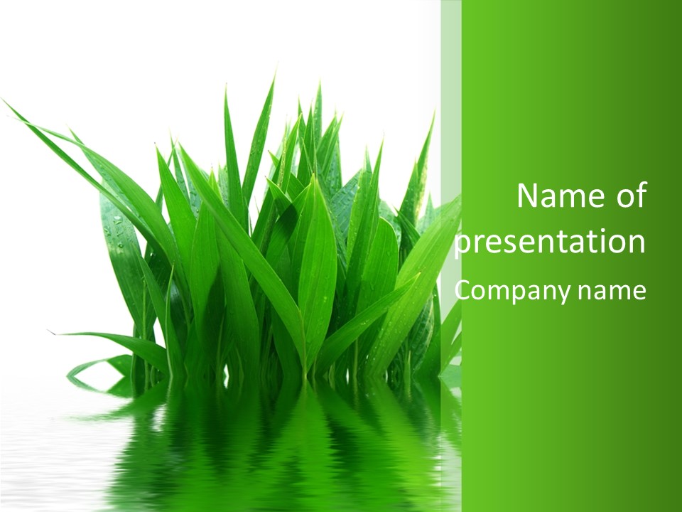 Cocotier Palmiers Tropical PowerPoint Template