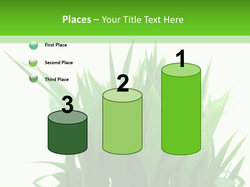 Cocotier Palmiers Tropical PowerPoint Template