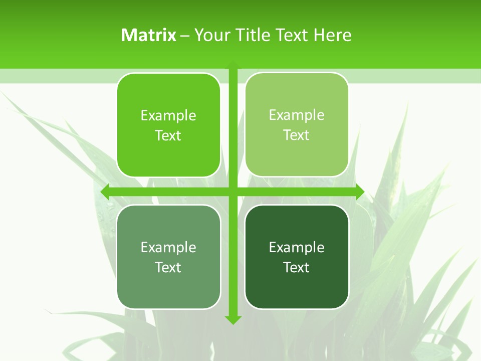 Cocotier Palmiers Tropical PowerPoint Template