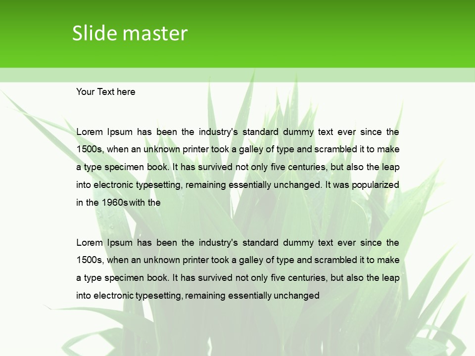 Cocotier Palmiers Tropical PowerPoint Template