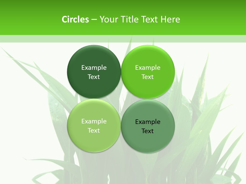 Cocotier Palmiers Tropical PowerPoint Template