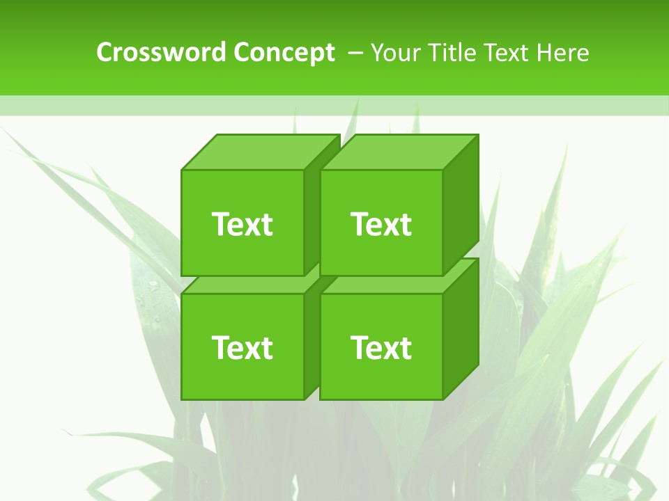 Cocotier Palmiers Tropical PowerPoint Template