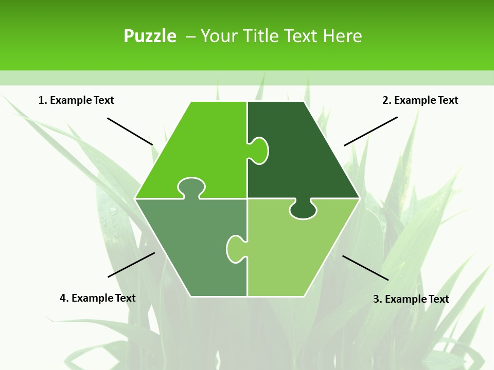 Cocotier Palmiers Tropical PowerPoint Template