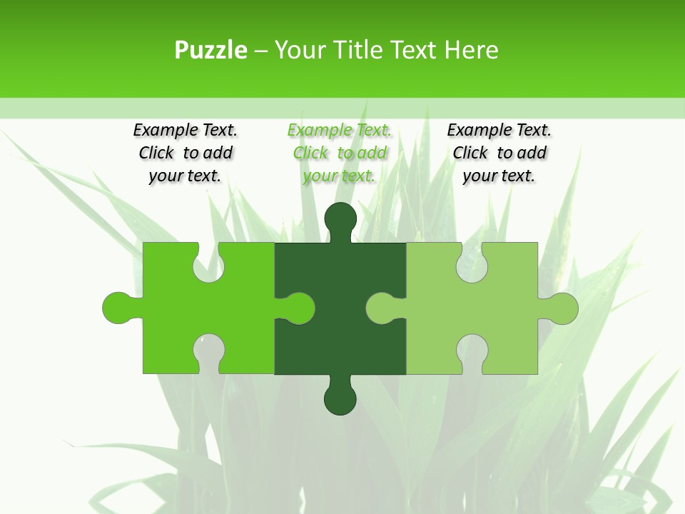 Cocotier Palmiers Tropical PowerPoint Template