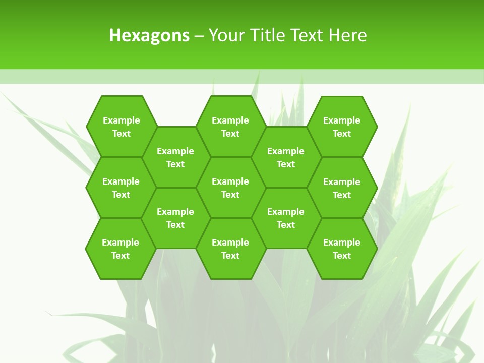 Cocotier Palmiers Tropical PowerPoint Template