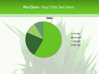 Cocotier Palmiers Tropical PowerPoint Template