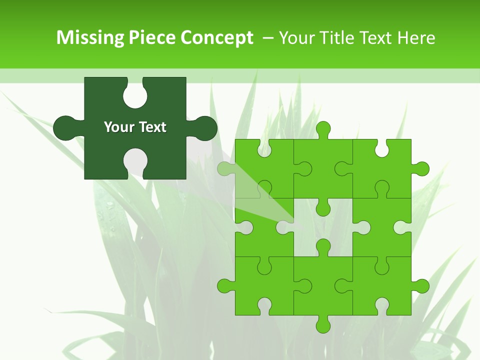 Cocotier Palmiers Tropical PowerPoint Template