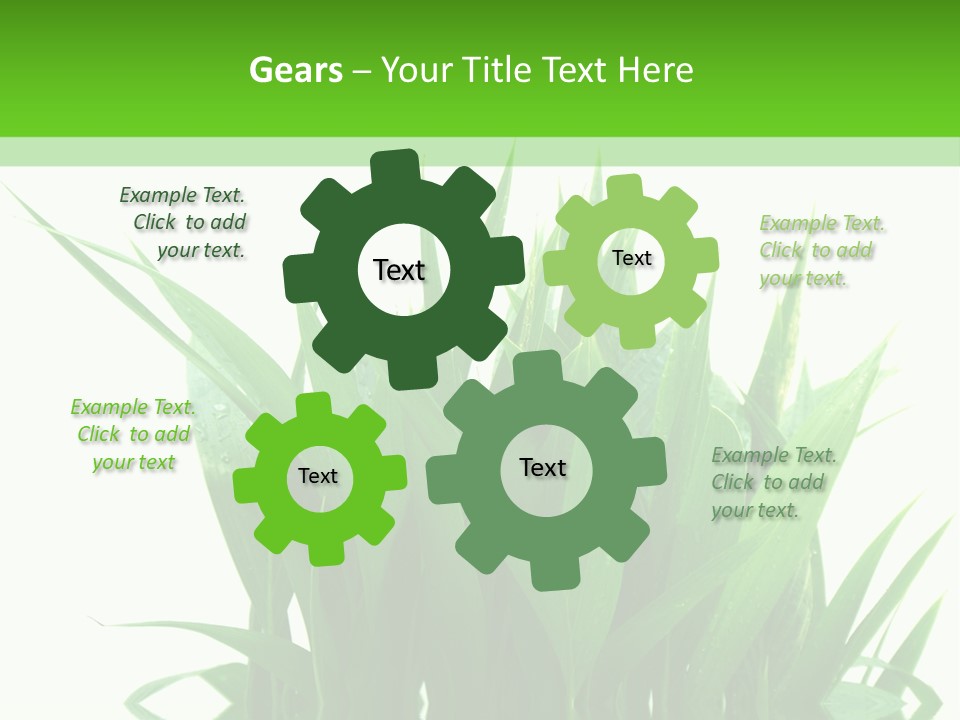 Cocotier Palmiers Tropical PowerPoint Template