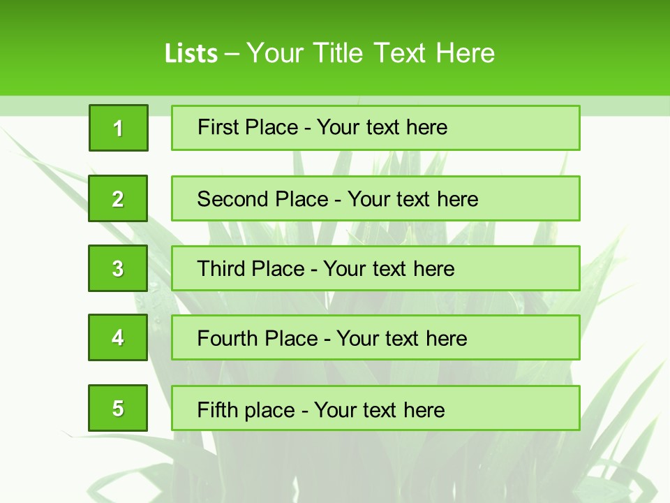 Cocotier Palmiers Tropical PowerPoint Template