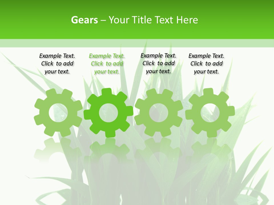 Cocotier Palmiers Tropical PowerPoint Template