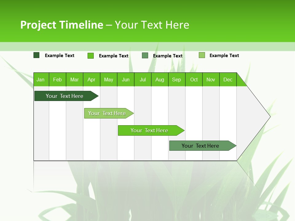 Cocotier Palmiers Tropical PowerPoint Template