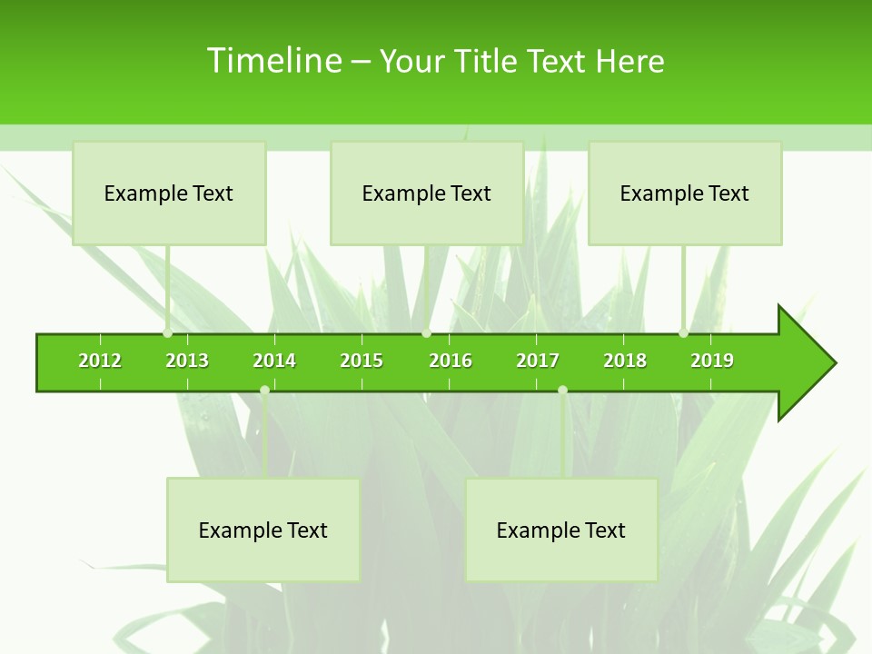 Cocotier Palmiers Tropical PowerPoint Template