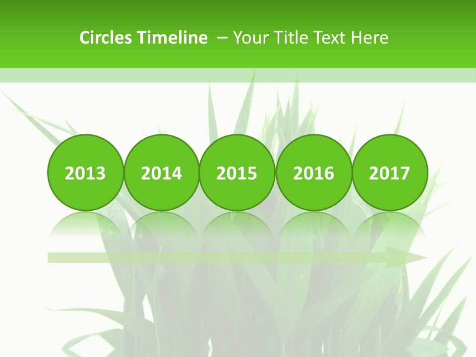 Cocotier Palmiers Tropical PowerPoint Template