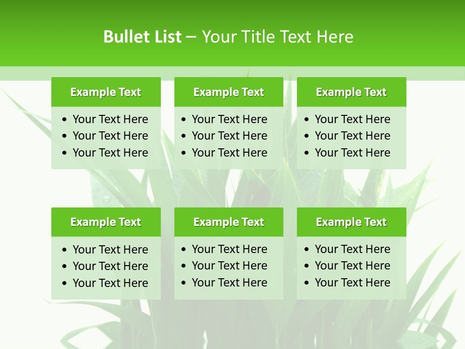 Cocotier Palmiers Tropical PowerPoint Template