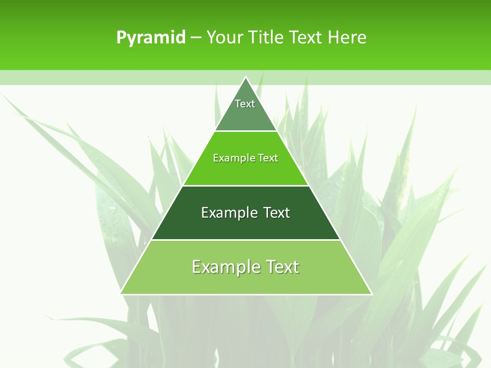 Cocotier Palmiers Tropical PowerPoint Template