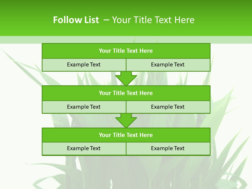 Cocotier Palmiers Tropical PowerPoint Template