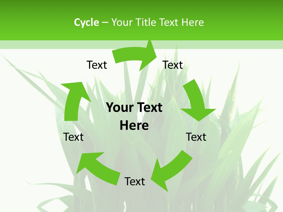 Cocotier Palmiers Tropical PowerPoint Template