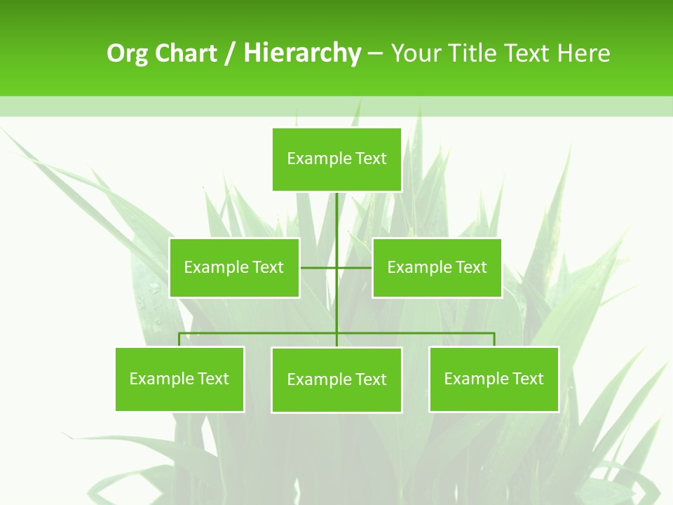 Cocotier Palmiers Tropical PowerPoint Template