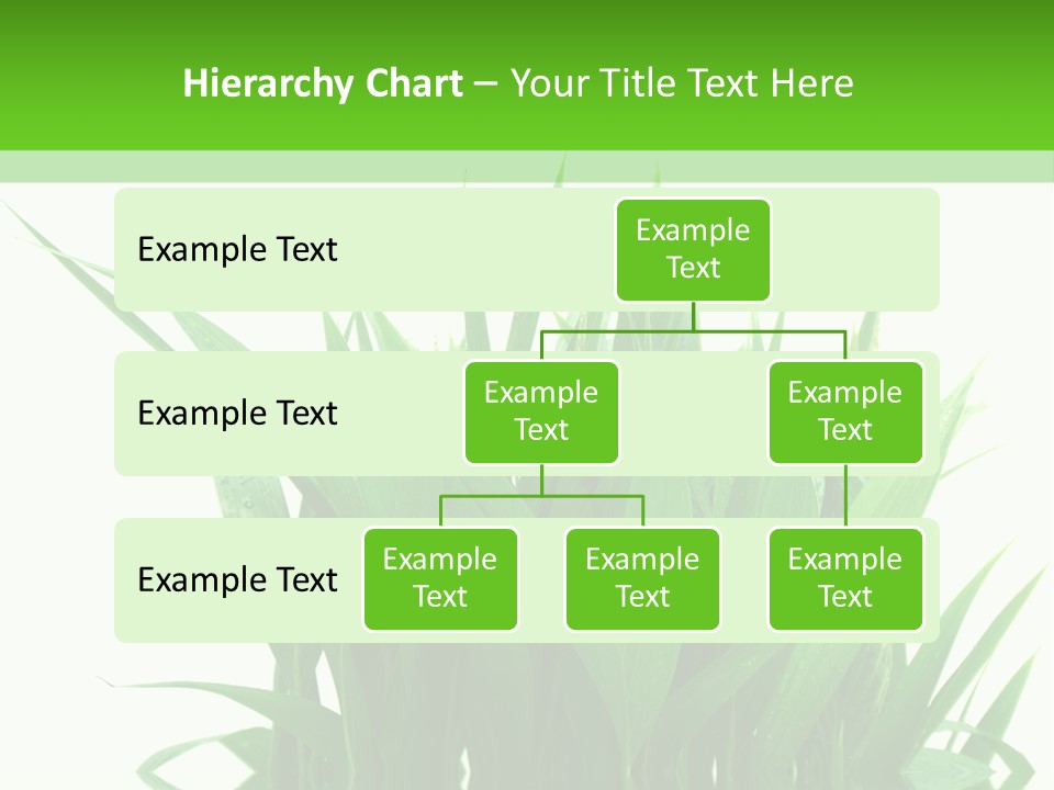 Cocotier Palmiers Tropical PowerPoint Template